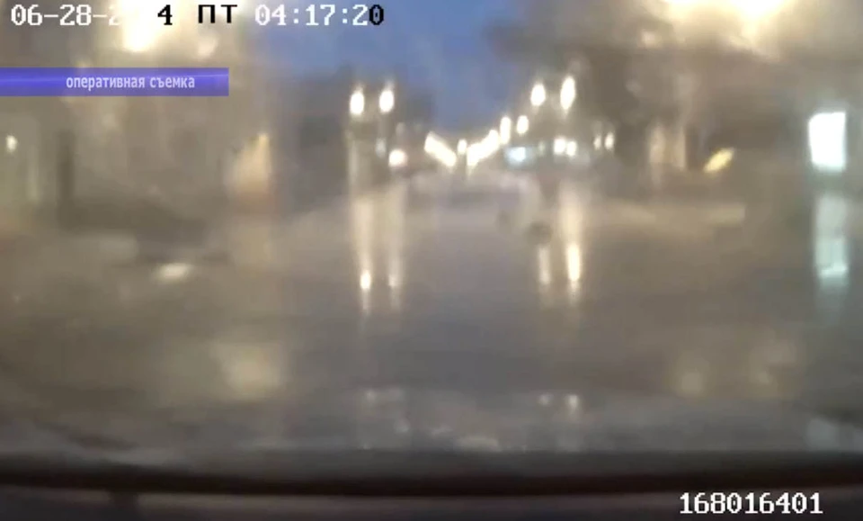 Фото: ГУ МВД