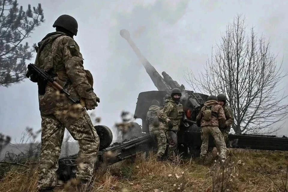 Минобороны: Российские войска освободили Новоалександровку в ДНР