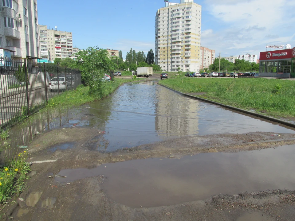 Фото Елены Федяшевой