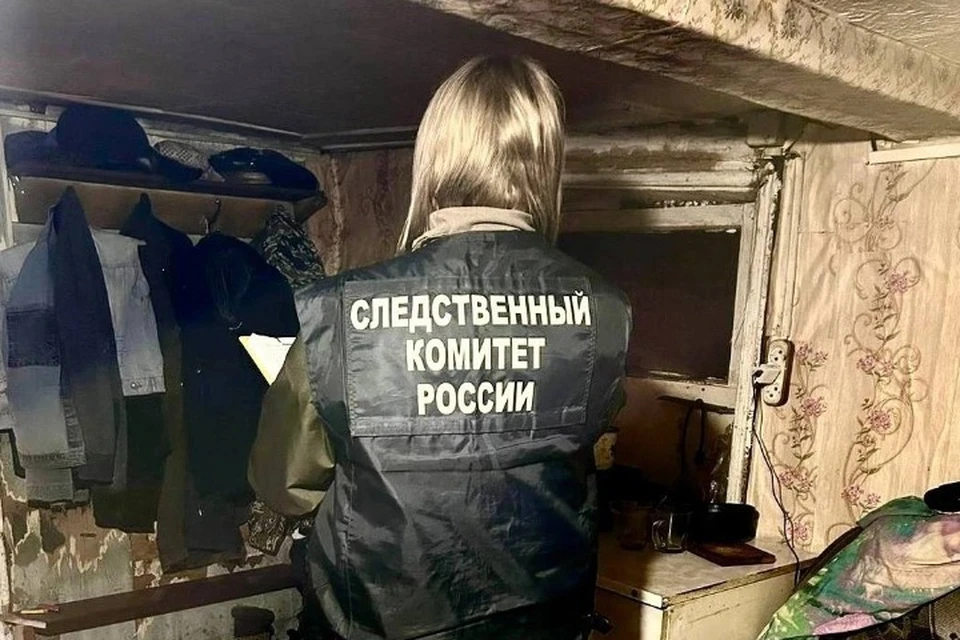 Уголовное дело направлено в суд. Фото: СУ СК РФ по Удмуртии