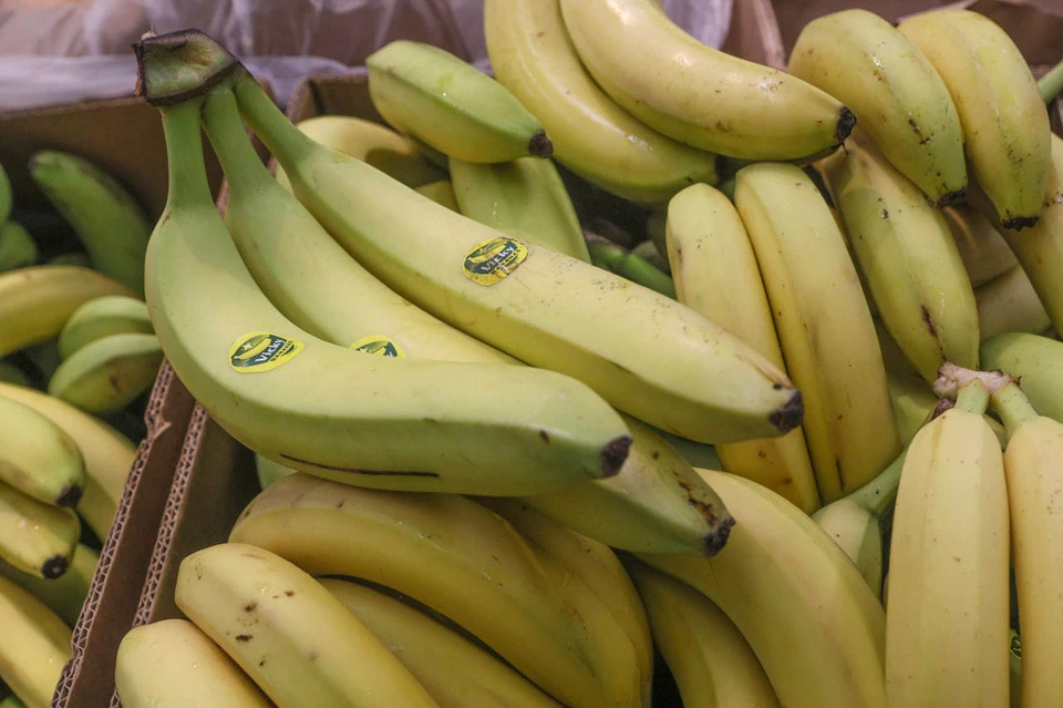 Полиция Эквадора изъяла три тонны кокаина, найденных в ящике с бананами для РФ