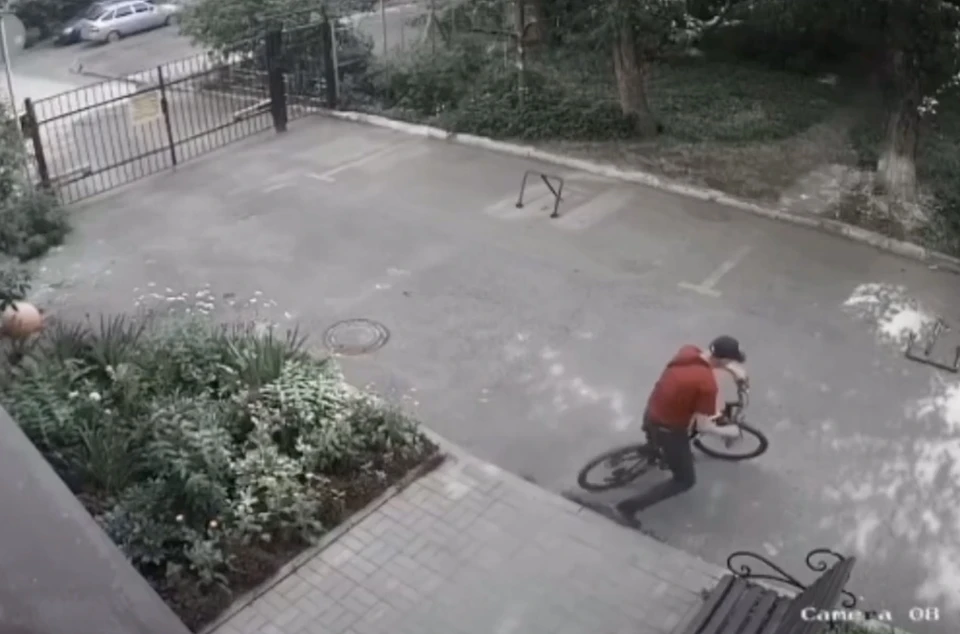 Фото: скриншот видео
