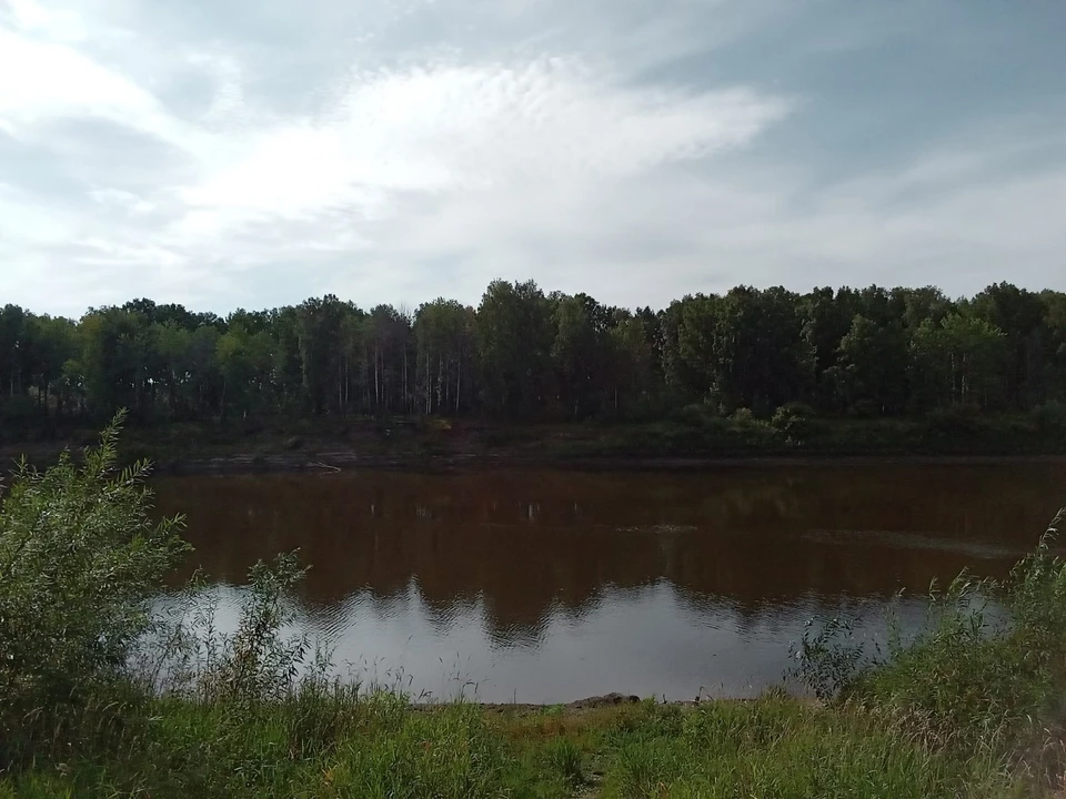 Новоуренгойцы могут получить штраф за купание в водоемах