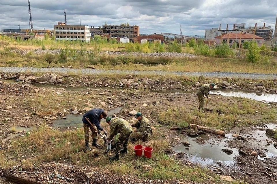 Фото: Росприроднадзор