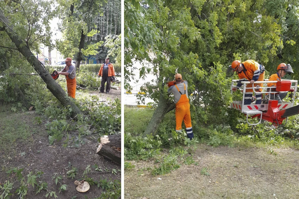 В Рязани устраняют последствия урагана.