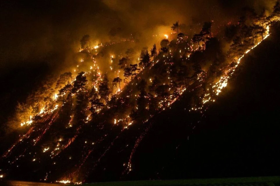 Лесной пожар разгорелся в бухте Инал Фото: t.me/vesti_krd