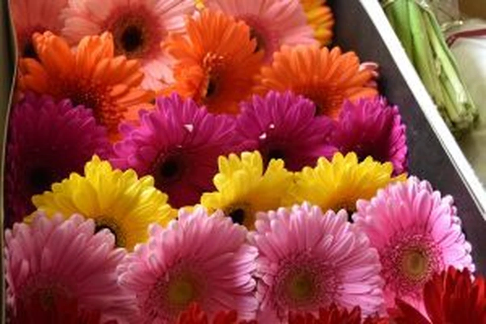 Фото: 125.fsvps.gov.ru.