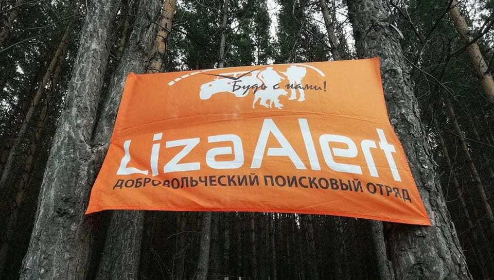 74 человека пропали в Тульской области за первый месяц лета