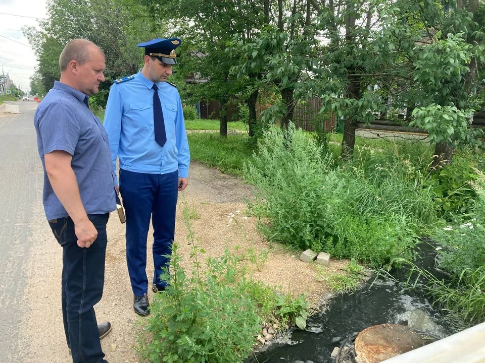 В Ярославской области жители Ростова жалуются на канализационные стоки в местное озеро