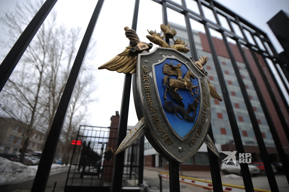 Александр Бастрыкин поручил перевести дело в центральный аппарат СКР