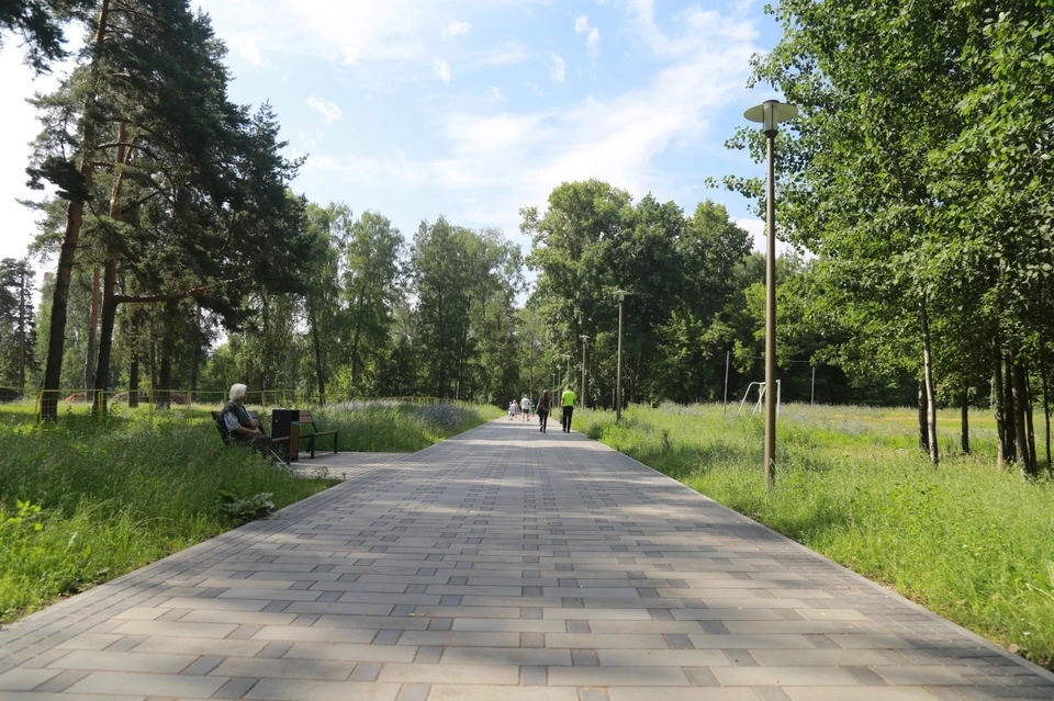 Благоустройство парка закончится в 2025 году. Фото: vk.com/d_a_chistyakov