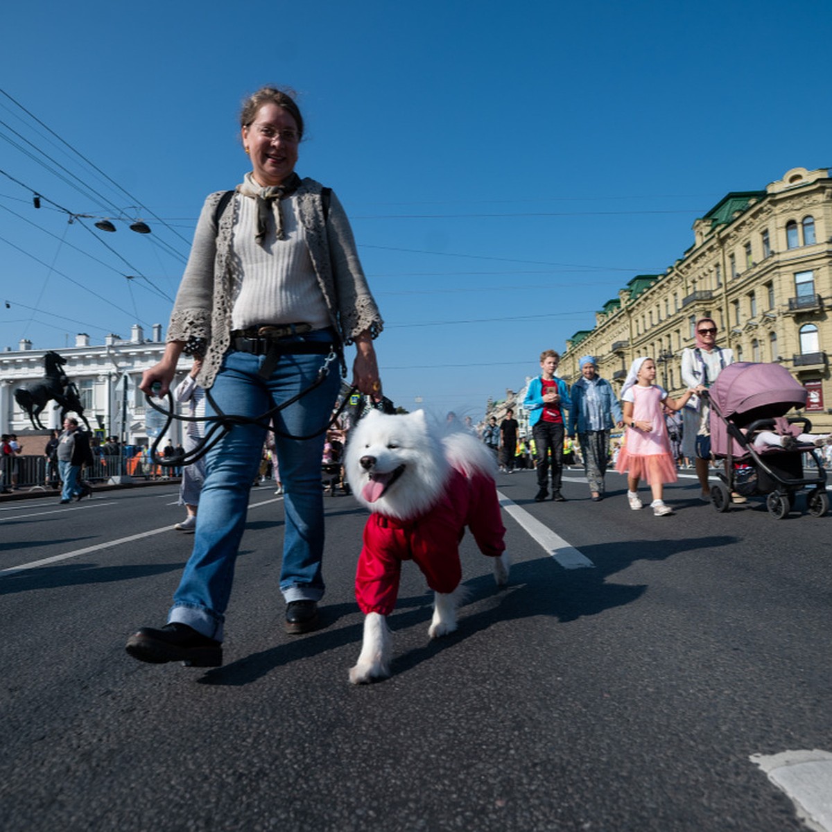 Обязательные курсы по дрессировке домашних собак хотят ввести в Петербурге  - KP.RU