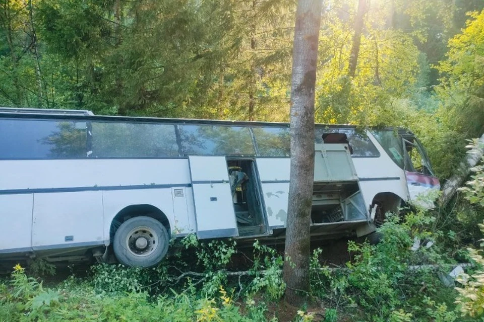 После аварии госпитализировали 5 человек. Фото: Госавтоинспекция Удмуртии