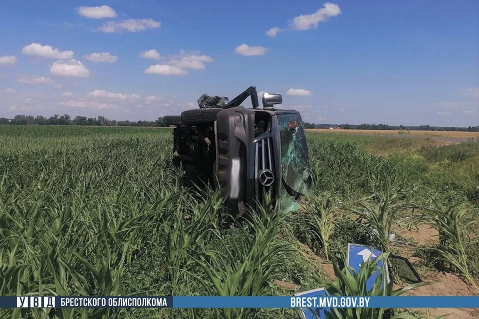 Шесть детей в микроавтобусе везли без автокресел. Фото: УВД Брестского облисполкома.