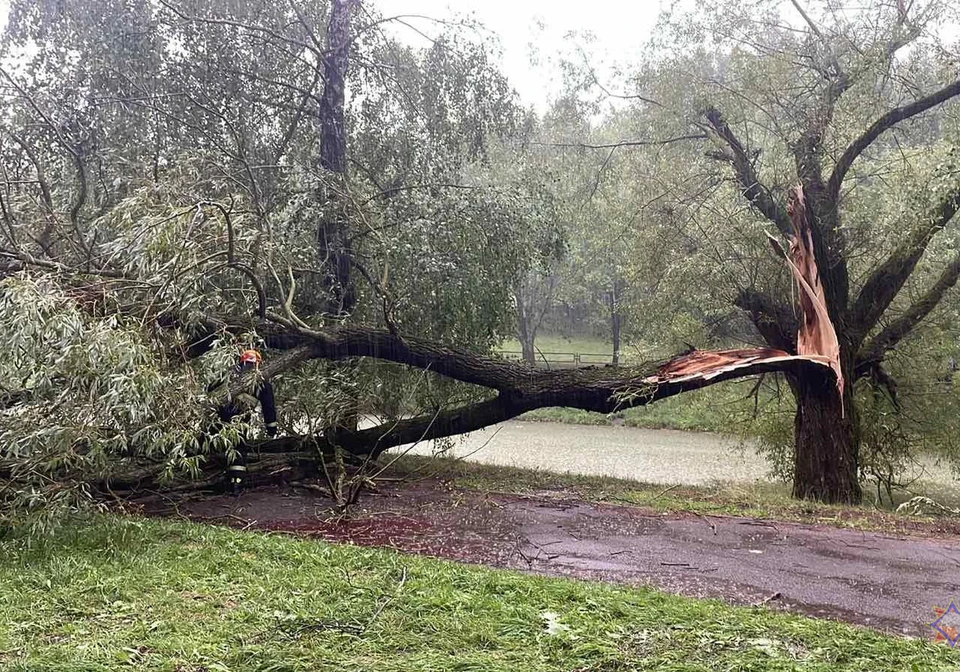 Ураган принес разрушения во многие районы Беларуси. Фото: mchs.gov.by, носит иллюстративный характер