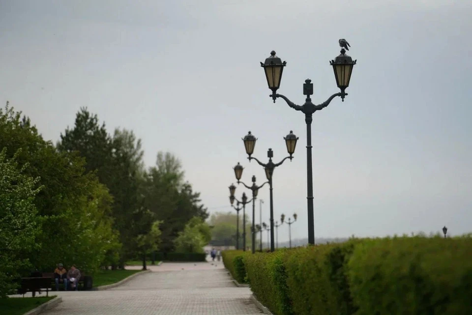 Самарцы смогут принять участие в конкурсе