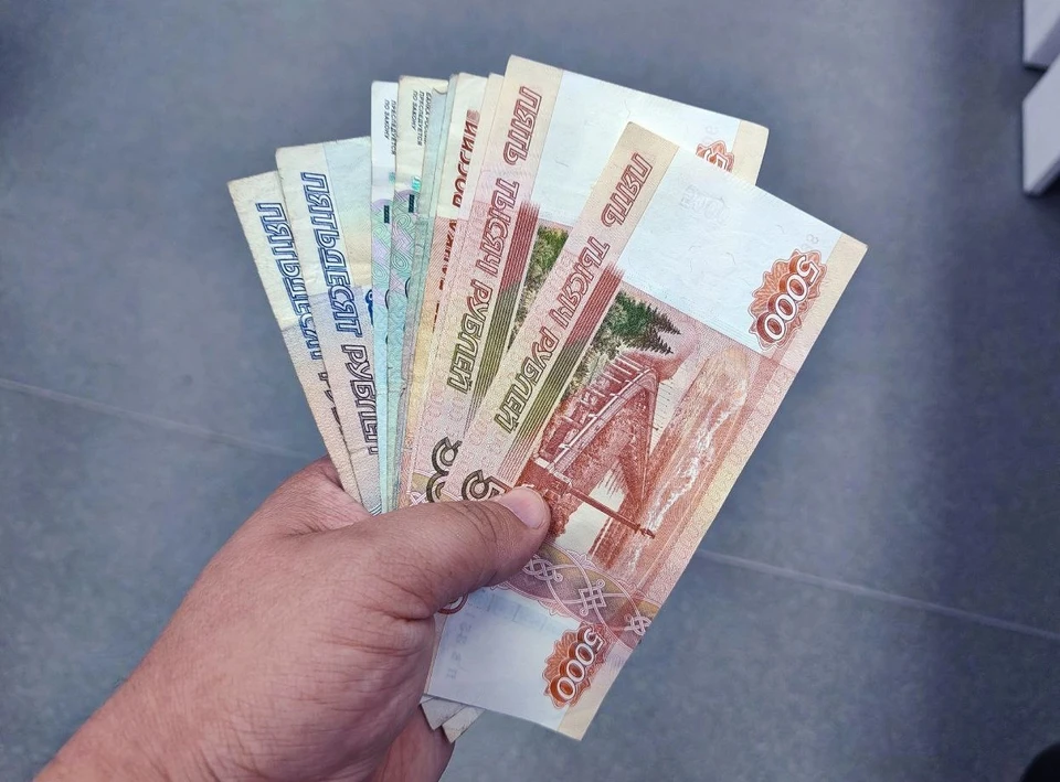 Новые инструменты защитят от инфляции накопления получателей господдержки. Фото Дмитрия Еланакова