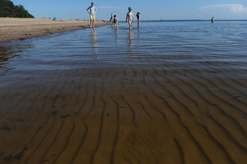 На 16 июля открыты четыре пляжа и 67 мест массового отдыха у воды.