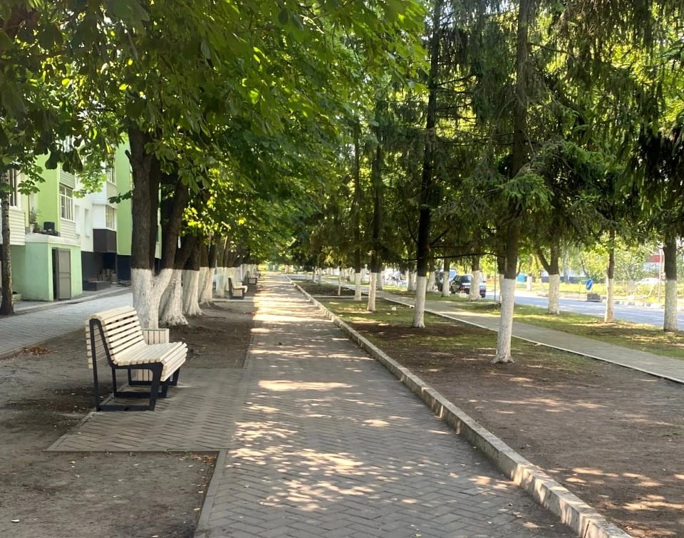 Фото — архив пресс-службы Белгородской облдумы.