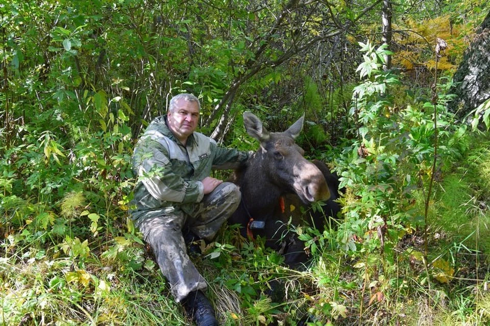 Александра Брюханова называли «лосиным папой». Фото: нацпарк "Зюраткуль".