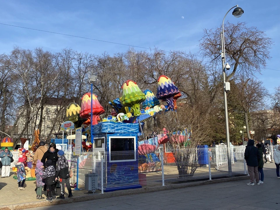 Мероприятие организовано молодежными командами и объединениями.