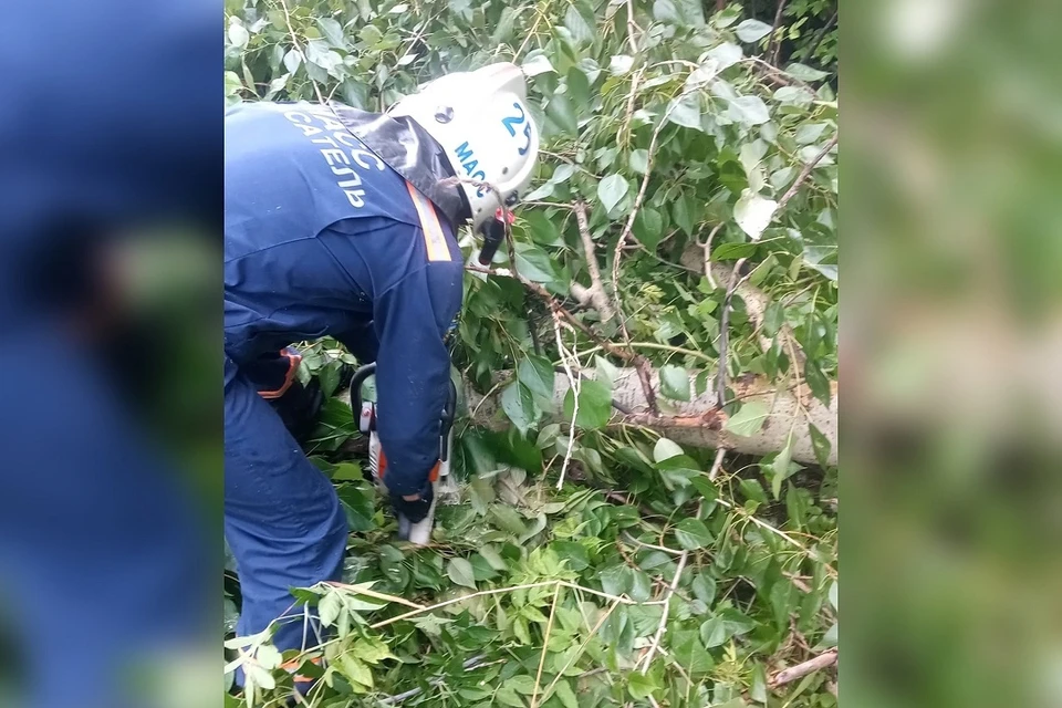 В Новосибирске продолжают устранять последствия прошедшей грозы. Фото: спасатели МАСС.