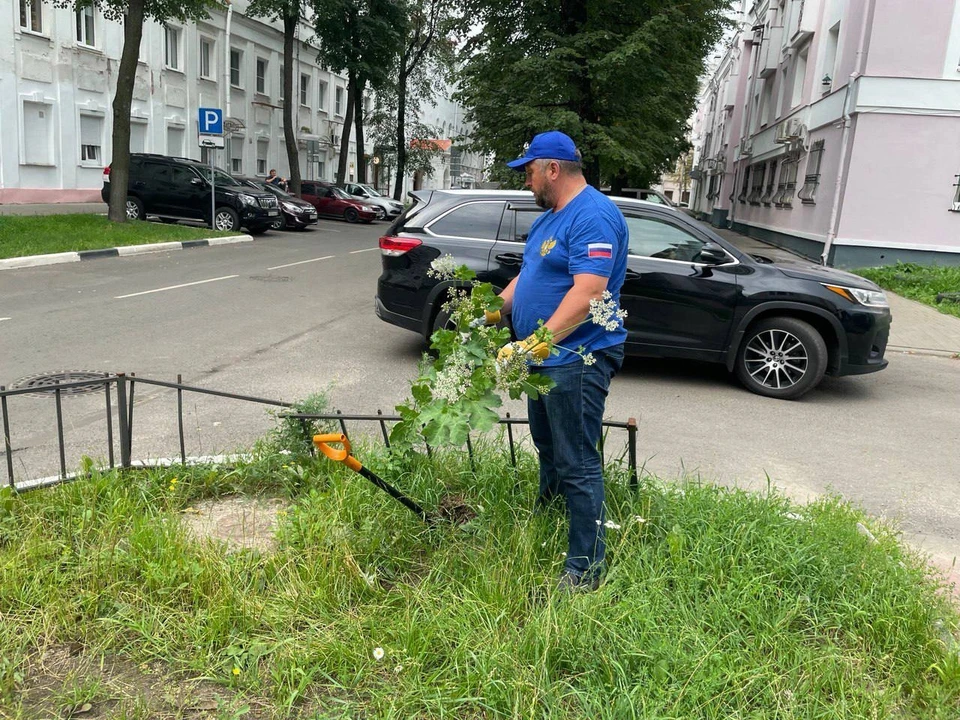 Михаил Крупин начал борьбу с опасным сорняком, который добрался и до центра города. Фото: Детский омбудсмен Ярославии.