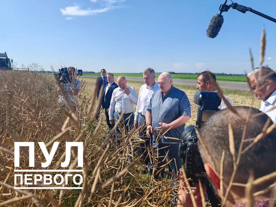 Лукашенко поручил принимать оперативные решения по причине непогоды в Беларуси. Фото: телеграм-канал «Пул Первого»
