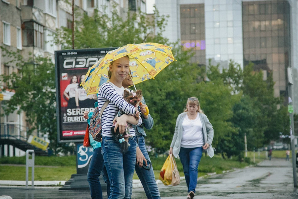 Хорошего дня!