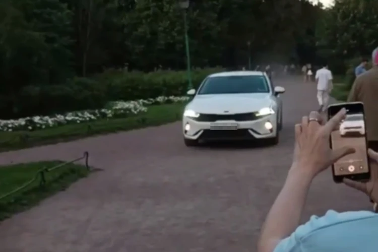 20 штрафов за три года: Что известно о наглом таксисте, прокатившемся по Таврическому саду в Петербурге