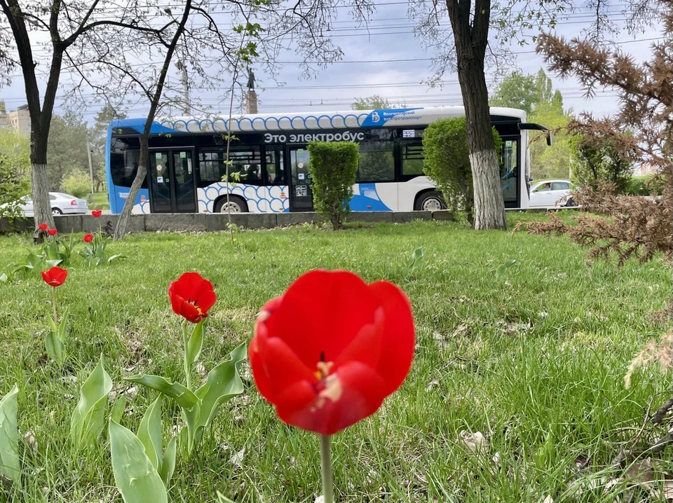В Волгограде стоит жара.