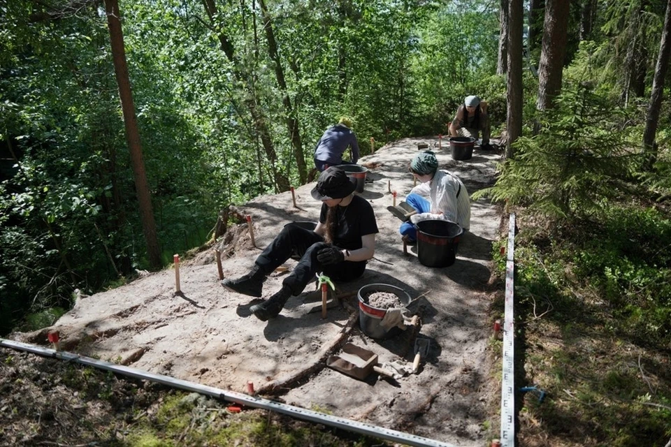 Фото: Коми научный центр