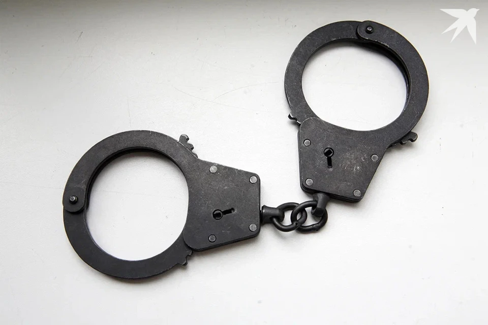 Милиция задержала 23-летнюю сутенершу в Гомельской области. Снимок носит иллюстративный характер.