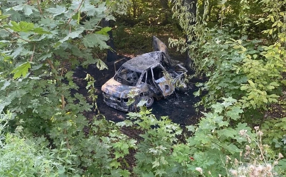 В ДТП в Новомосковском районе погиб водитель автомобиля «ВАЗ»