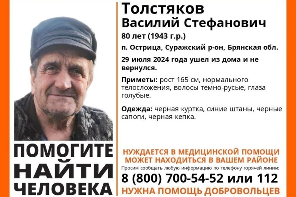 Фото: поисковый отряд "Лиза Алерт".