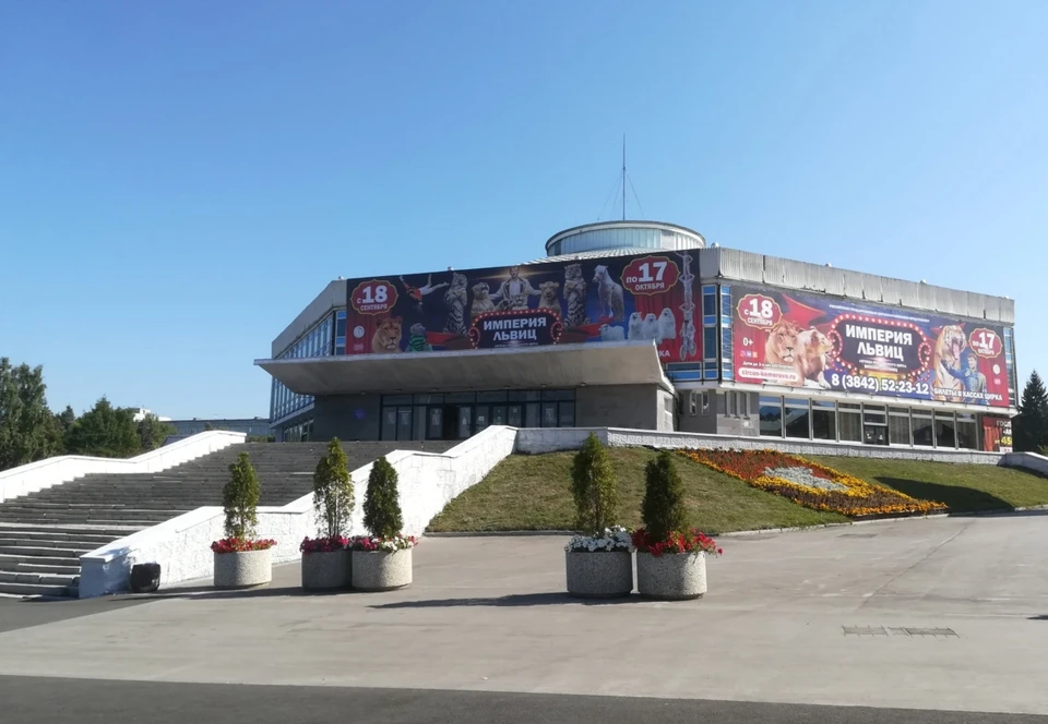 В этом году власти планируют провести благоустройство прилегающей к городскому цирку территории. Фото: 2ГИС