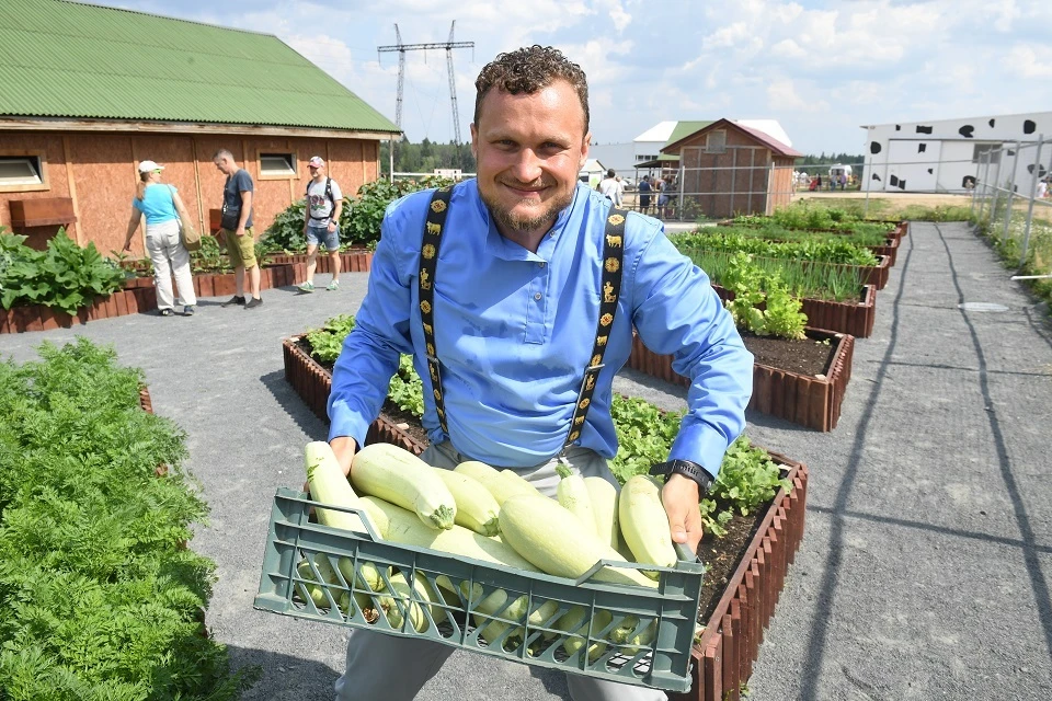 Гастроэнтеролог рассказал о полезных свойствах кабачков