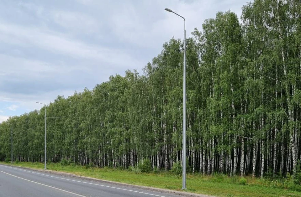 Прокуратура потребовала установить освещение на Сельдинском шоссе в Ульяновске | ФОТО: прокуратура Ульяновской области