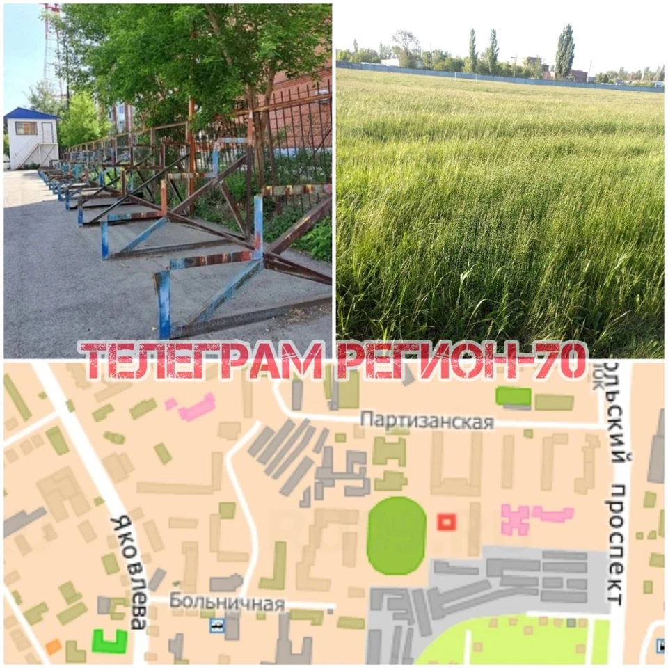 фото: телеграм-канал "Регион 70 Томск"
