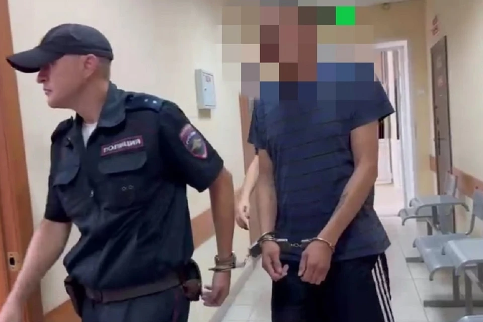 Под Новосибирском арестовали убийцу матери двоих детей, сжегшего квартиру. Фото: Суды общей юрисдикции НСО.