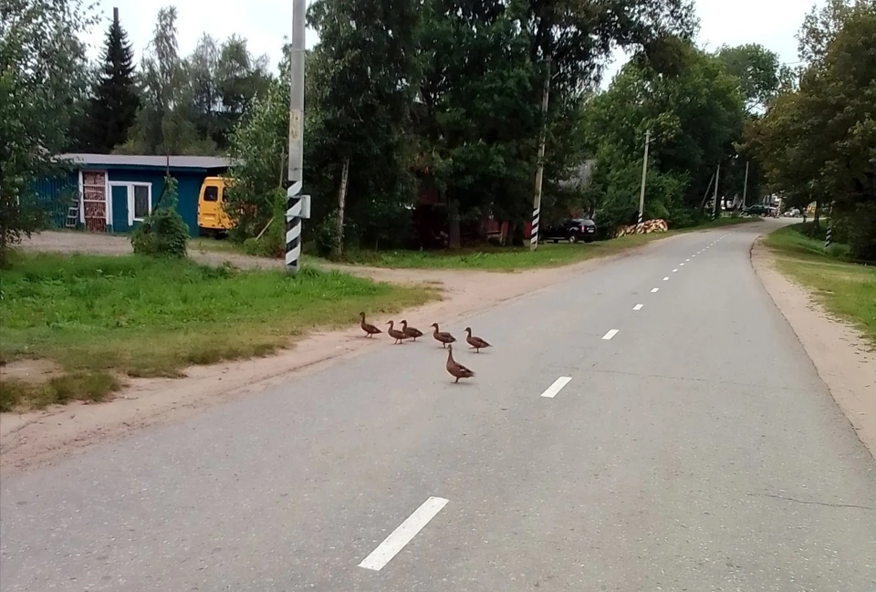 Фото: Анна Потапова.