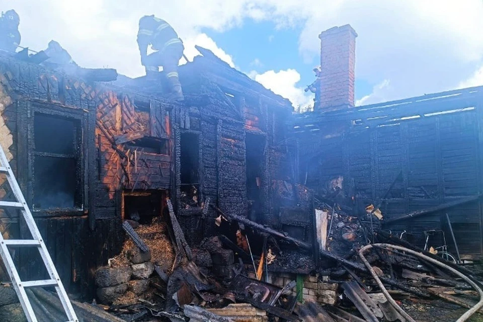 Фото: пресс-служба ГУ МЧС России по Брянской области.