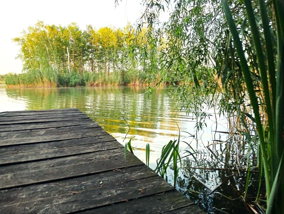 Белгородцы попали на штрафы за незаконную ловлю рыбы.