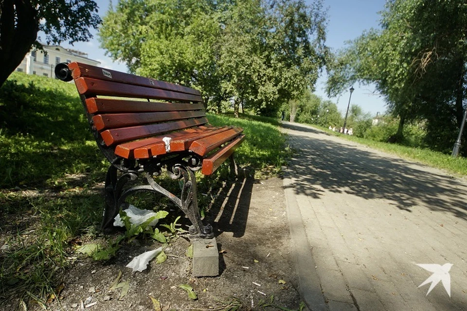 Горожане присоединились к экологической акции