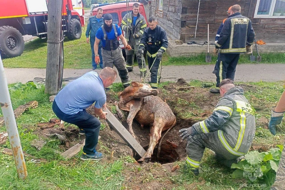 Фото: МЧС по Красноярскому краю