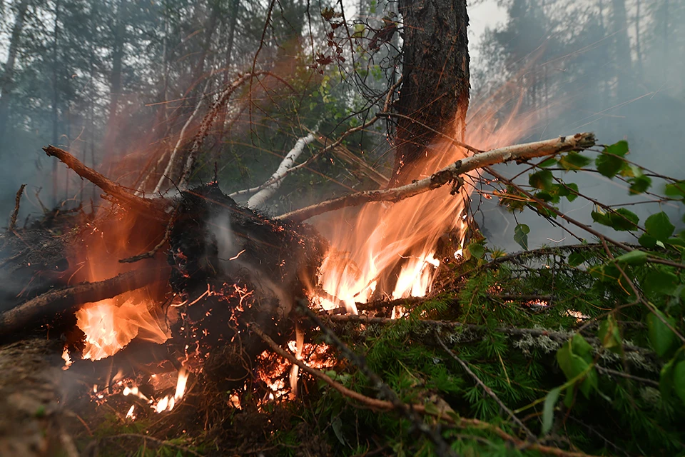 В МЧС региона напомнили, чего нельзя делать в пожароопасный период.