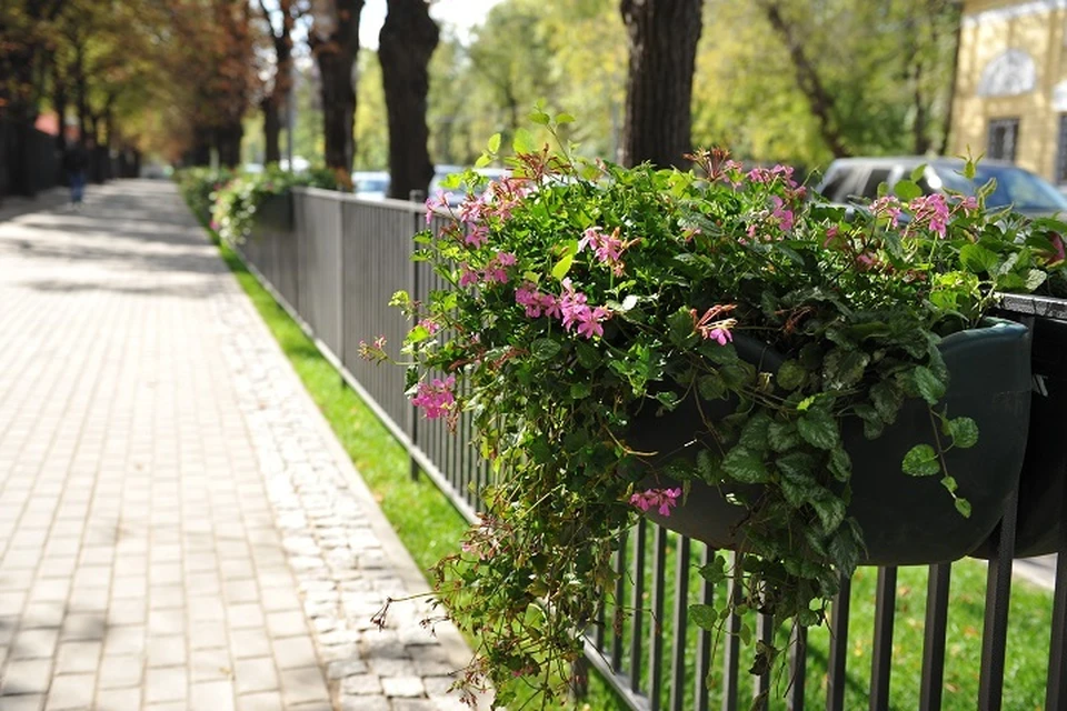 В парке Северном Хабаровска продолжают благоустраивать территорию