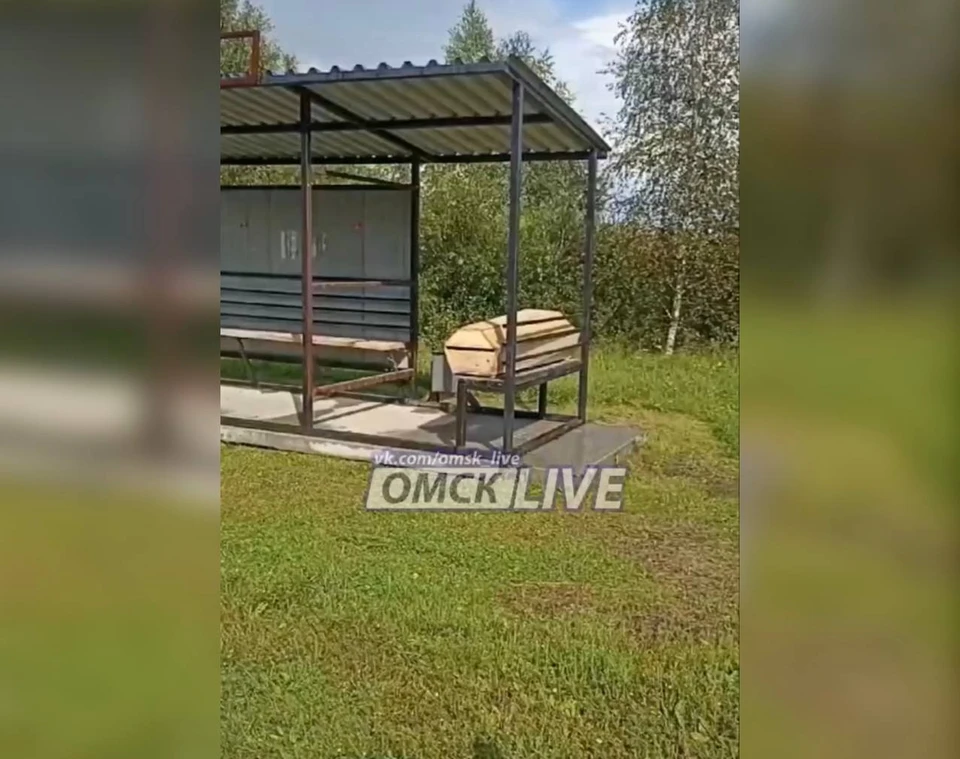 Фото: паблик в «ВКонтакте» «Омск Live»