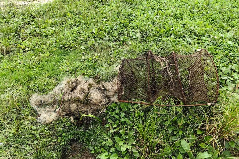 "Добыча" охотоведов. Фото: Дирекция ООПТ Амурской области