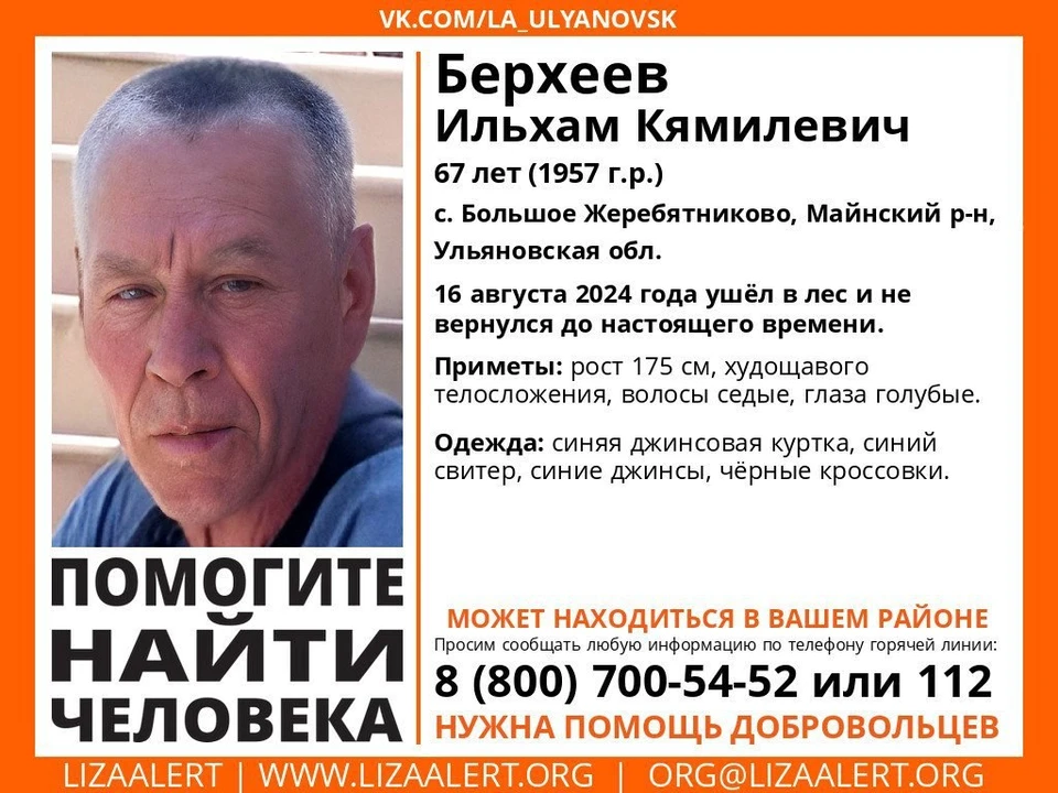 Житель села в Майнском районе ушел в лес и не вернулся домой. Фото Лиза Алерт